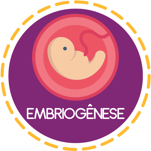 Embriologia